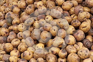 Potatoes Piled at Ecuador farmers market