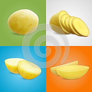 Potatoes Realistic Compositions Set