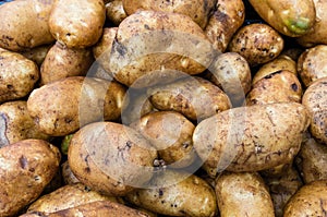 Potatoes russet or baking in bulk