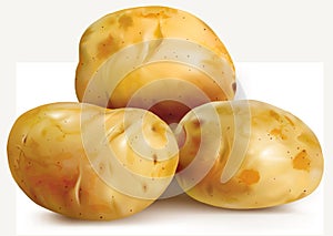 Potatoes tuber on a white background