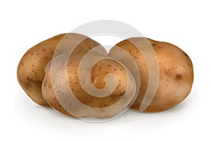 Potatoes, vector illustration