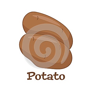 Potatoes vector illustration. Isolated on white background.