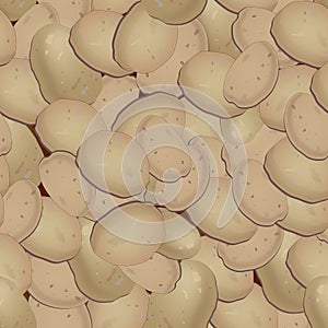 Potatoes, vector, seemless patterv, fresh, young, unpealed potatoes