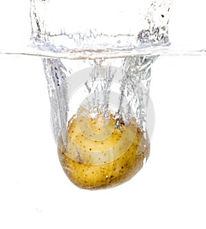 Potatoes in water isolated on white background
