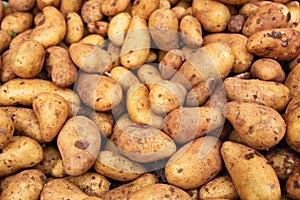 Potatoes on weekly market