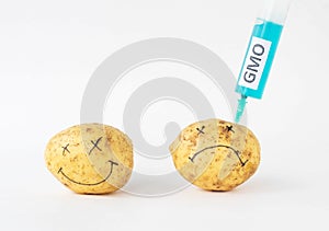 Potatoes on a white background in which of the syringe to the gmo and nitrates, close-up, genetically modified organism