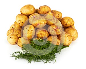 Potatoes
