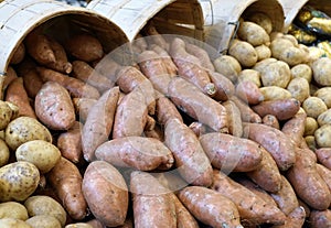 Potatos in a basket