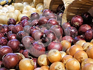 Potatos in a basket