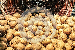 Potatos fresh in basket