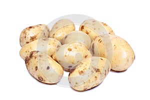Potatos on white background