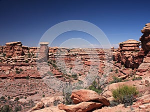 Pothole point in Canyonlands