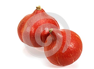 Potimarron, cucurbita maxima, Small variety of Pumpkin against White Background