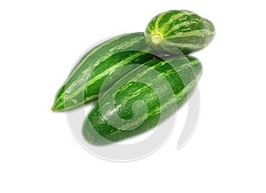 Potol or Trichosanthes dioica