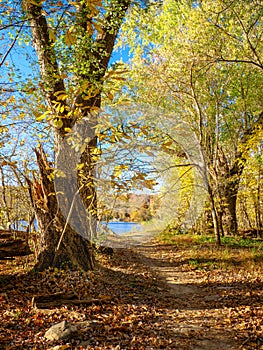 Autumn colors on the banks of the Potomac River 3