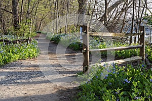 Potomac Heritage Trail Great Falls Virginia