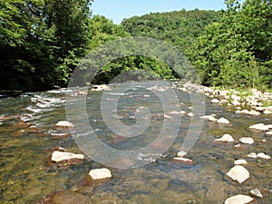 Potomac River North Branch