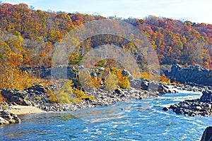 Potomac River and trees in colorful foliage.