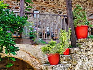 Potplants in Ancient Monastery Courtyard, Greece