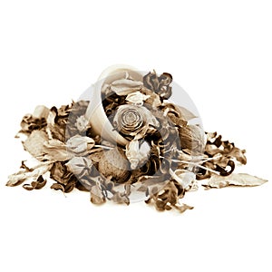 Potpourri in Sepia Tones