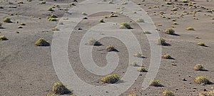 Potrebbe essere Marte, invece ÃÂ¨ un particolare del terreno del  parco del Timanfaya a Lanzarote photo