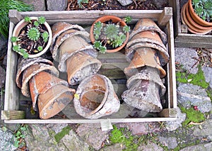 pots