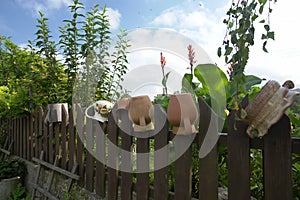 Pots on fence