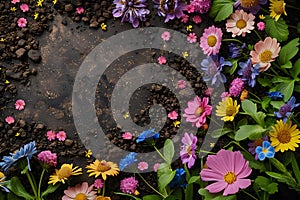 Pots, flowers and gardening tools on soil background. Spring garden works concept. Love nature