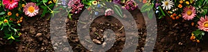 Pots, flowers and gardening tools on soil background. Spring garden works concept. Love nature