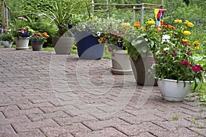 Pots of flowers on the patio.