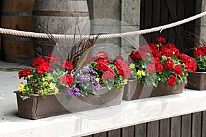 Pots with geraniums and other flowers are on the terrace