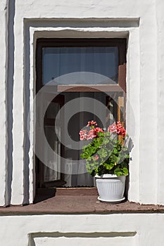 Pots of geraniums on the window of an old house