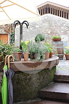 Pots with herbs and flowers in town square.