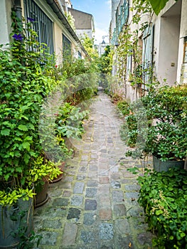 Pots of plants in a small cobbled dead-end street in Paris france