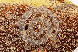 Potsherd, antique closeup photo