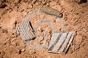 Potsherds and dried maize