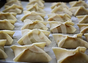 Potstickers