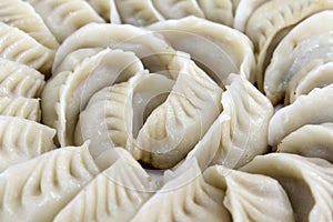 Potstickers Chinese Dumplings Closeup