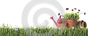 Potted blooming flowers and gardening tools on grass against white background, space for text. Banner design