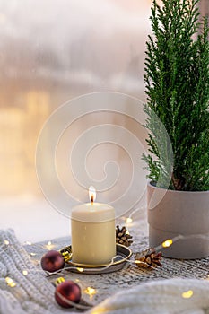 Potted Christmas tree with decorations and lights