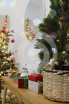 Potted fir tree and gift boxes on wooden table indoors. Christmas decoration