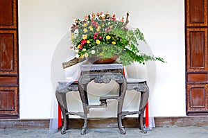 Potted flower in China courtyard photo