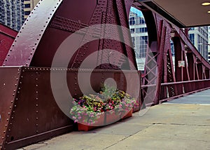 Potted flower garden along the Clark Street bridge structure in downtown Chicago Loop. photo