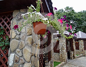 Potted flowers decorate the outdoor cafe