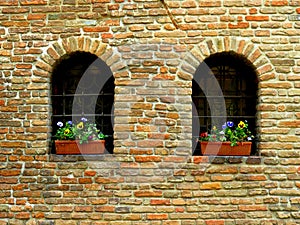 Potted flowers, two windows, brick wall