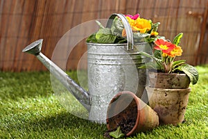 Potted flowers and a watering can