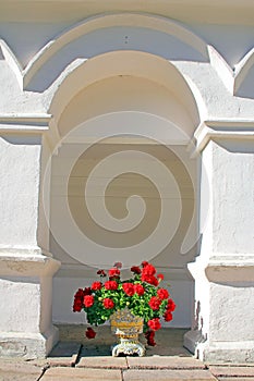 Potted Geranium under an Arch