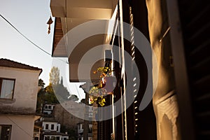 Potted geraniums outdoor on the blinds in sunlight on Selcuk city background