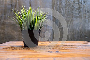 Potted grass flower over wooden table background