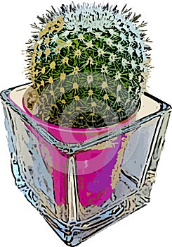 Potted green cactus of a single stem